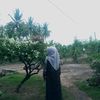 liaawleee