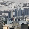 selem1099