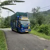 frengkitanjung21