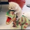 mingmingroarr