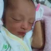 zammilkqie03