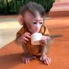 Anmile Baby Jasmine