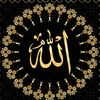 sani_bni