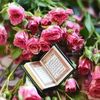 rayouna0288