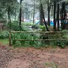 bambangsetiawan1020