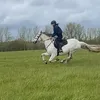rhiannaequestrian