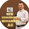 honarmand_ali