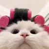taeuicutie