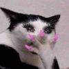 shoshooo.com