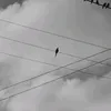 stevic00_