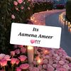 aamenaameer_thestar