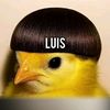 luisguzman9809
