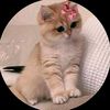 mariamm2212011