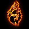 the_wolfster