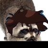 johncoon2000