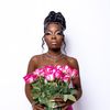 stephthahairplug