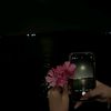 rima_7.00