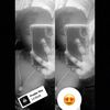 chelseanextdoor_