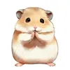 hamsterxinhhanoi