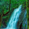 ulusungai21