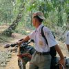 dyazz_crf
