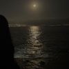 ntlssdiary