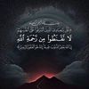 user6291474950228