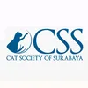 CSS
