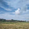 quynhnhu24042013