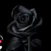 dyfoidk6xilb