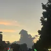 onlycat.z