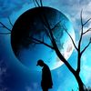 dil__shan__tt