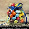 serdartosbik