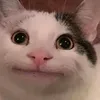 dainny007
