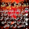 user2979021634679