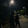 vn2_l