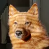 uaaron