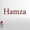 hamzamostafa198