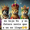 rositagato123