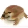r4mir3z473