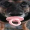 goombagamer96