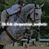 horse.aest_edits01
