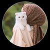 ceyda55an
