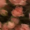 kor._.alina