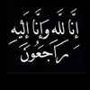 alaynawzad1