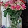 lady.sam2