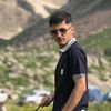 733bahoz