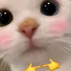 usermwqjp75pp5