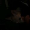 delilah.earley5