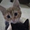 soadlover_1